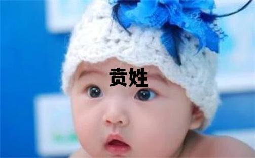 贲姓有涵养的女孩名字,取什么名字好