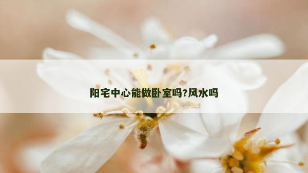 阳宅中心能做卧室吗?风水吗