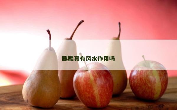 麒麟真有风水作用吗
