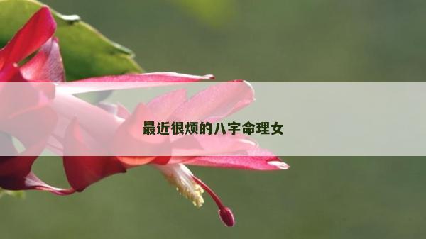 最近很烦的八字命理女