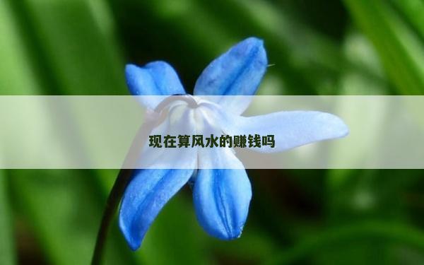 现在算风水的赚钱吗