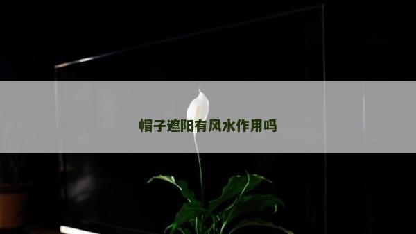 帽子遮阳有风水作用吗