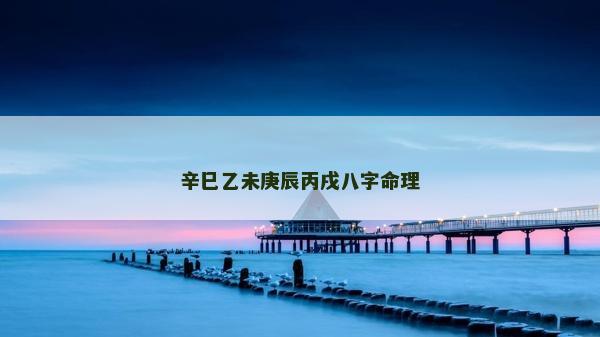 辛巳乙未庚辰丙戌八字命理