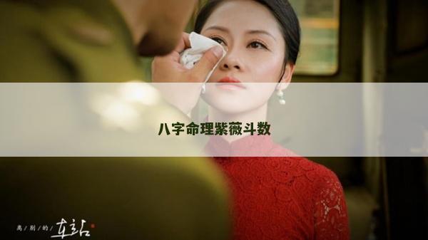 八字命理紫薇斗数