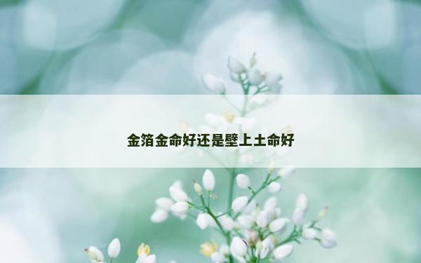 金箔金命好还是壁上土命好