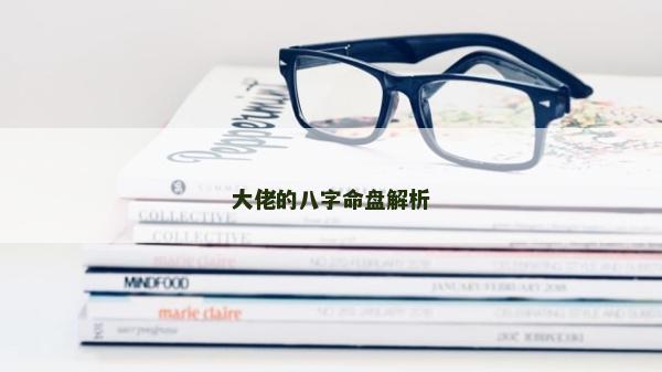 大佬的八字命盘解析