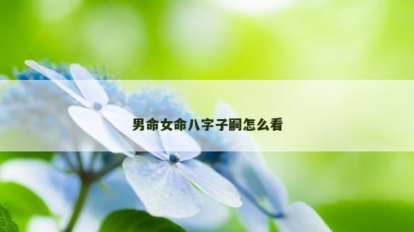 男命女命八字子嗣怎么看