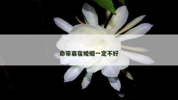 命带寡宿婚姻一定不好