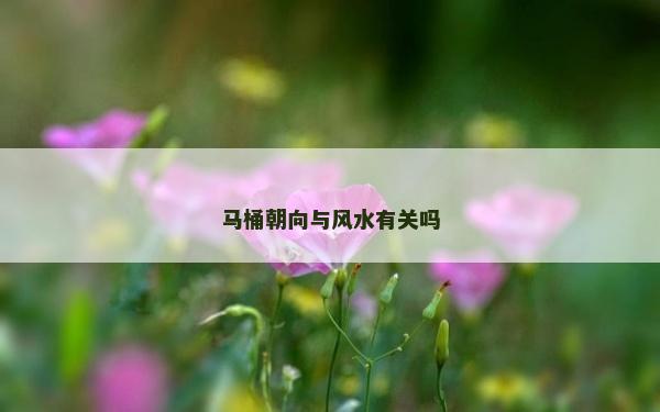 马桶朝向与风水有关吗