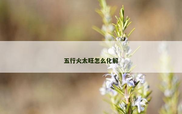 五行火太旺怎么化解