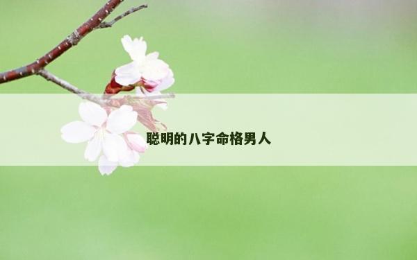 聪明的八字命格男人