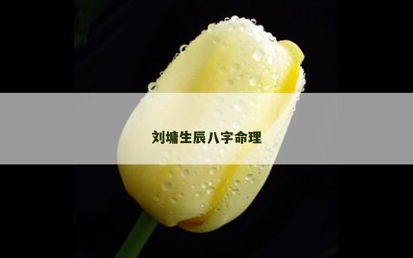 刘墉生辰八字命理