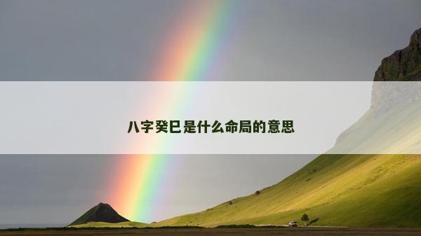 八字癸巳是什么命局的意思