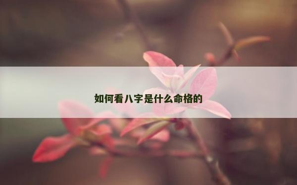 如何看八字是什么命格的