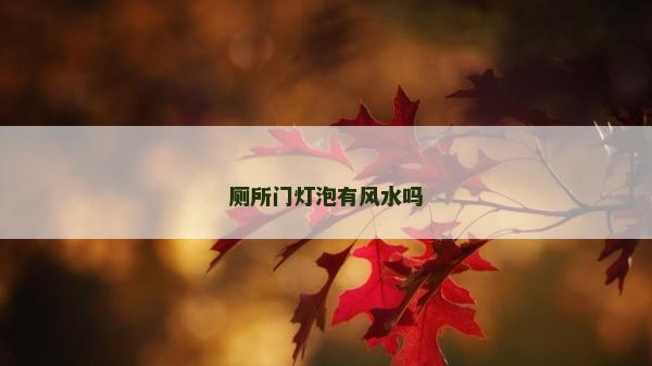 厕所门灯泡有风水吗