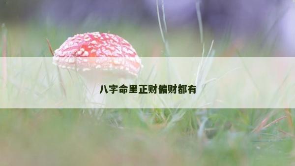 八字命里正财偏财都有