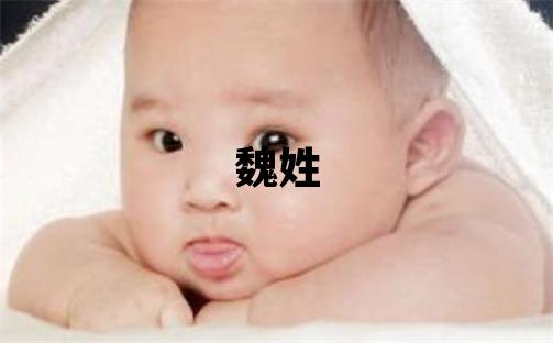 魏姓冷门独特的女孩名字,取什么名字好