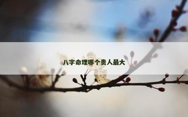 八字命理哪个贵人最大