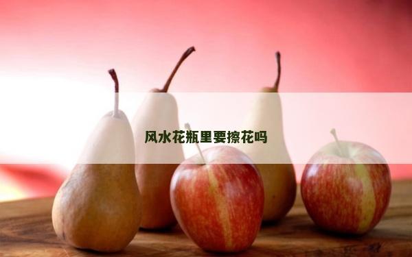 风水花瓶里要擦花吗