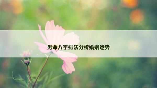 男命八字排法分析婚姻运势