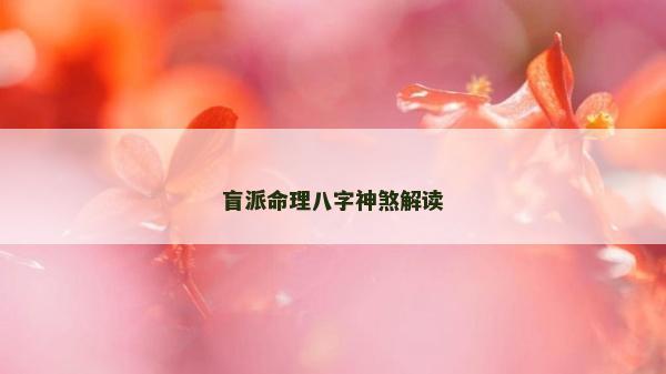 盲派命理八字神煞解读