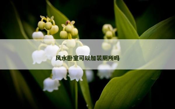 风水卧室可以加装厕所吗