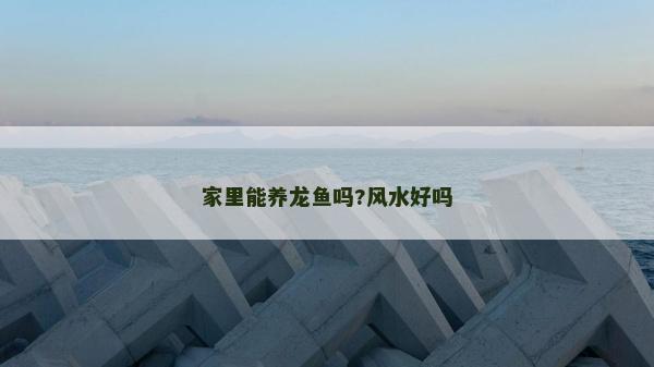 家里能养龙鱼吗?风水好吗