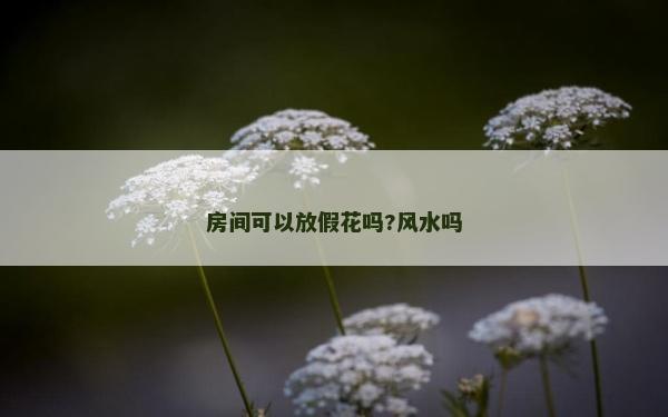 房间可以放假花吗?风水吗
