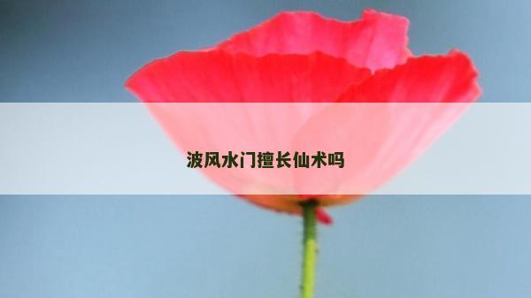 波风水门擅长仙术吗