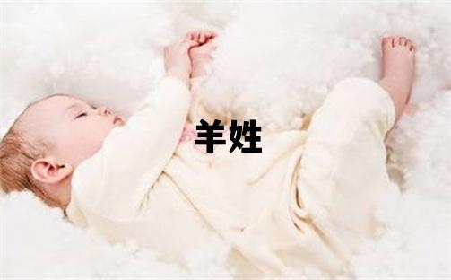 羊姓朗朗上口的男孩名字,取什么名字好