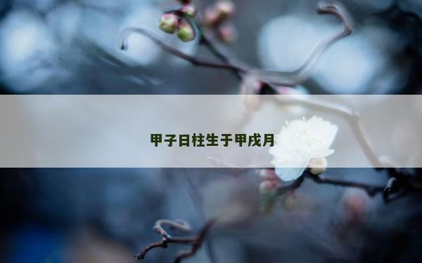甲子日柱生于甲戌月