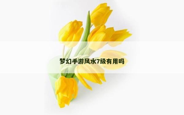 梦幻手游风水7级有用吗