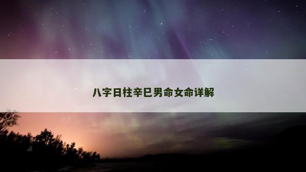 八字日柱辛巳男命女命详解