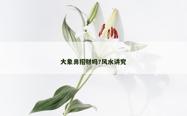大象鼻招财吗?风水讲究