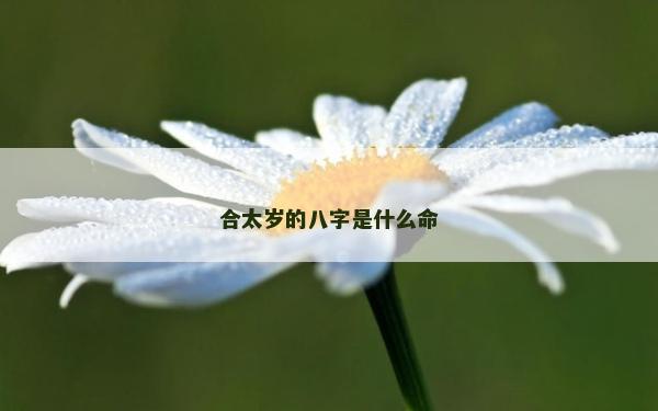 合太岁的八字是什么命