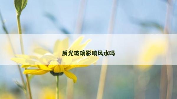 反光玻璃影响风水吗