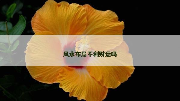 风水布局不利财运吗