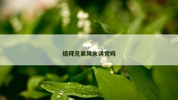 结拜兄弟风水讲究吗
