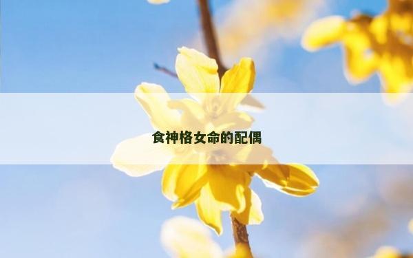 食神格女命的配偶