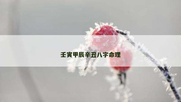 壬寅甲辰辛丑八字命理