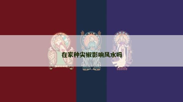 在家种尖椒影响风水吗