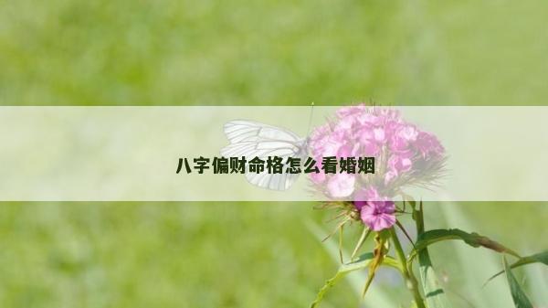 八字偏财命格怎么看婚姻