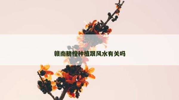 赣南脐橙种植跟风水有关吗