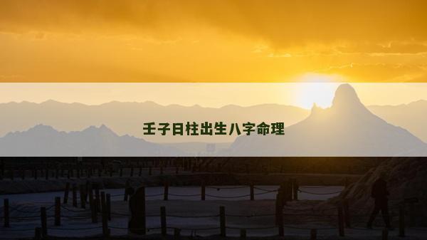壬子日柱出生八字命理