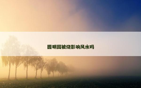 圆明园被烧影响风水吗