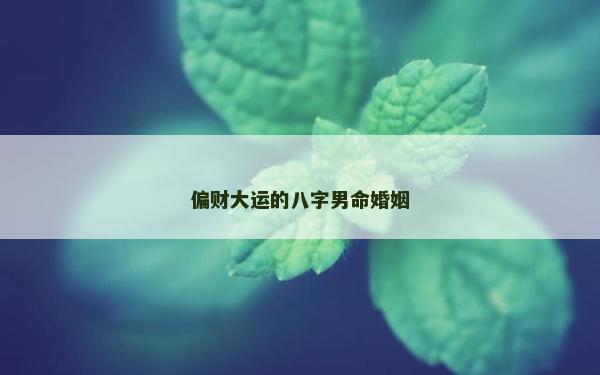 偏财大运的八字男命婚姻