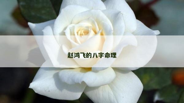 赵鸿飞的八字命理