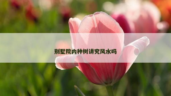 别墅院内种树讲究风水吗