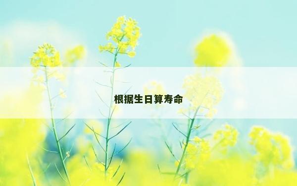 根据生日算寿命