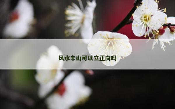 风水辛山可以立正向吗